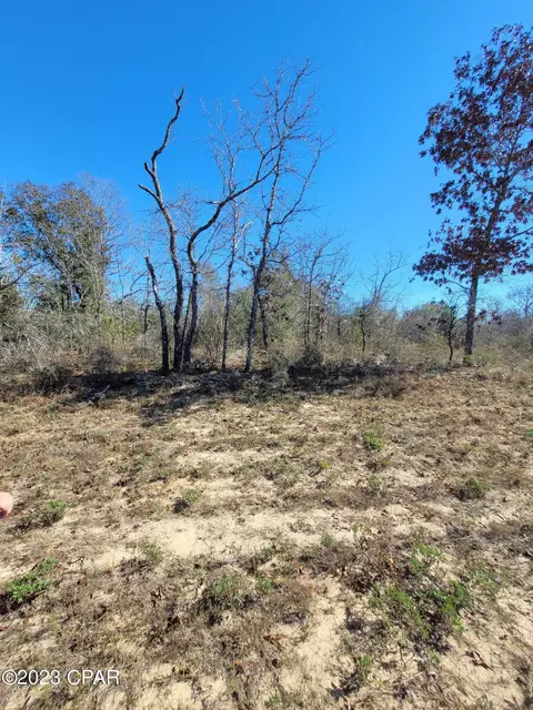 000 Cranfield Ave, Chipley, FL 32428