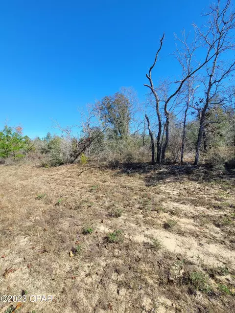 000 Cranfield Ave, Chipley, FL 32428 photo 2
