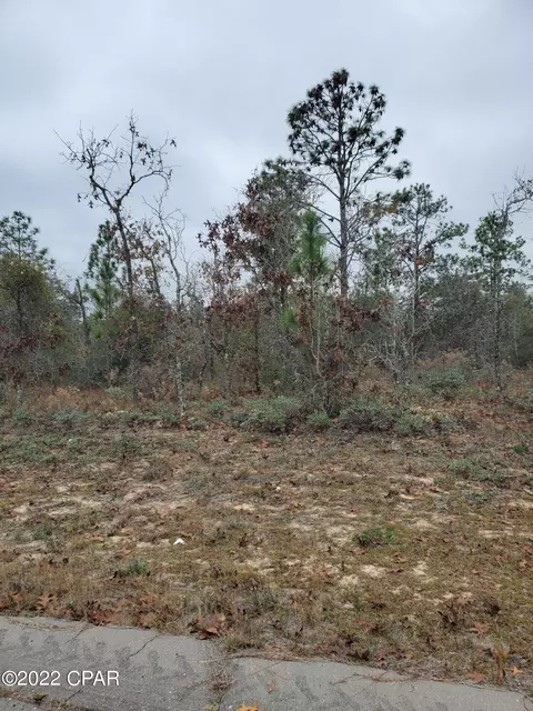 lot32 Hernando Cir, Chipley, FL 32428 photo 3