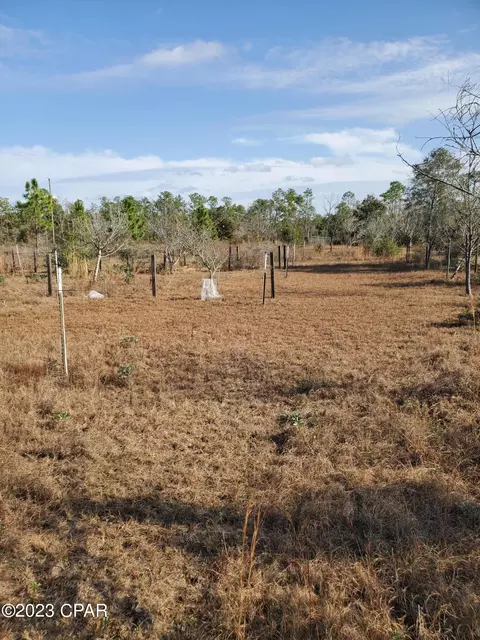 2970 Cracked Egg Ln, Chipley, FL 32428 photo 12
