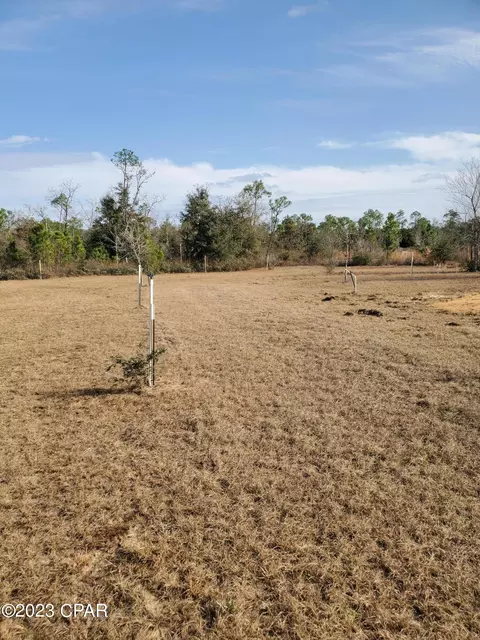 2970 Cracked Egg Ln, Chipley, FL 32428 photo 5