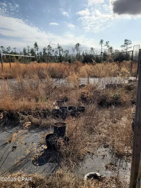 2970 Cracked Egg Ln, Chipley, FL 32428 photo 10
