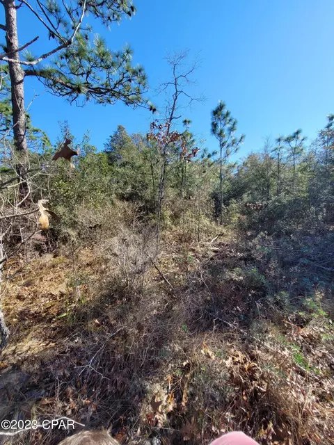 3489 Westbrook Dr, Chipley, FL 32428