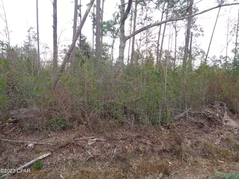 lot S 78 Oleander St, Fountain, FL 32438