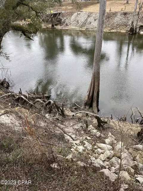 21854 NW Black Bottom Rd, Altha, FL 32421