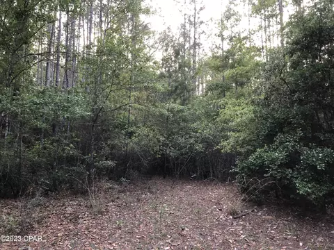 lot19 Nicole Rd, Freeport, FL 32439