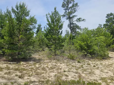 00 Rolling Pines Rd, Chipley, FL 32428 photo 8