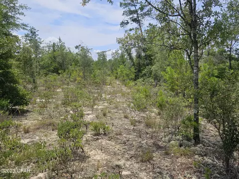 00 Rolling Pines Rd, Chipley, FL 32428 photo 9