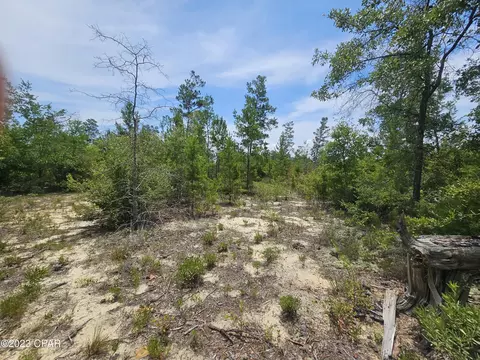 00 Rolling Pines Rd, Chipley, FL 32428 photo 13