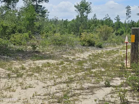 00 Rolling Pines Rd, Chipley, FL 32428 photo 6