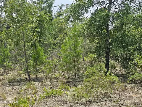 00 Rolling Pines Rd, Chipley, FL 32428 photo 11