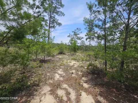 00 Rolling Pines Rd, Chipley, FL 32428 photo 14