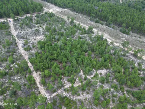 00 Rolling Pines Rd, Chipley, FL 32428
