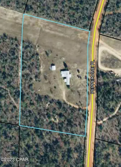 3340 Peppervine Pl, Chipley, FL 32428 photo 28