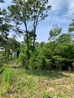 lot Apt 7 Sharlene Ln, Inlet Beach, FL 32461