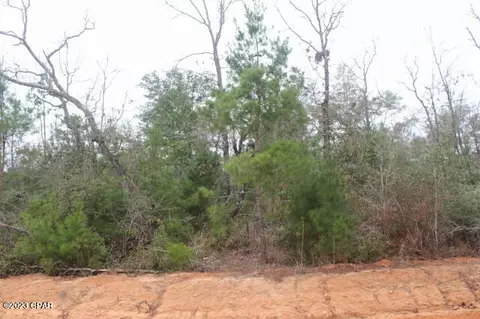 3370 Peppervine Pl, Chipley, FL 32428 photo 4