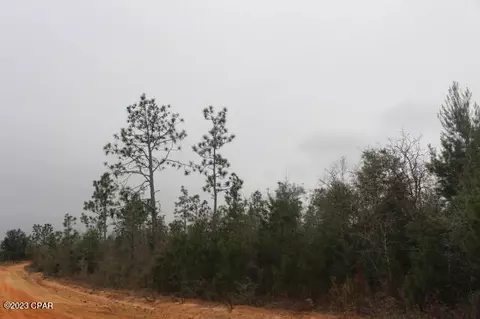 3370 Peppervine Pl, Chipley, FL 32428 photo 5