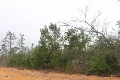 3370 Peppervine Pl, Chipley, FL 32428 photo 1