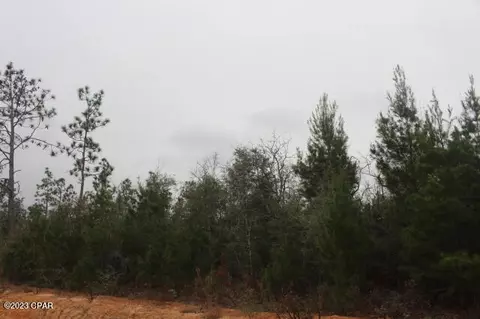 3370 Peppervine Pl, Chipley, FL 32428 photo 6