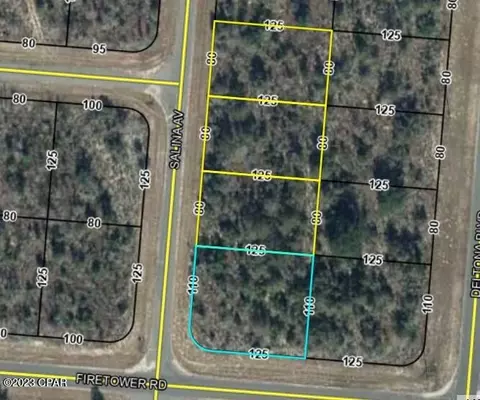 lot14 Salina Ave UNIT 8 BLK 0530, Chipley, FL 32428