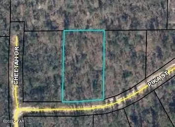0 Pika Cr Cir, Marianna, FL 32448