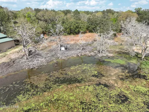 5203 Pine Ridge Dr, Chipley, FL 32428 photo 18