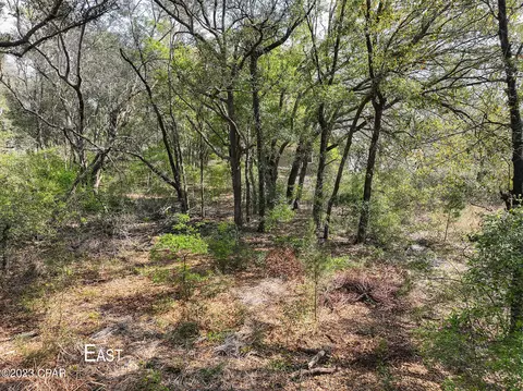 5203 Pine Ridge Dr, Chipley, FL 32428 photo 13