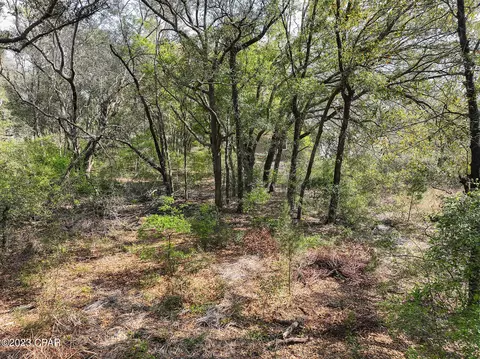 5203 Pine Ridge Dr, Chipley, FL 32428 photo 12