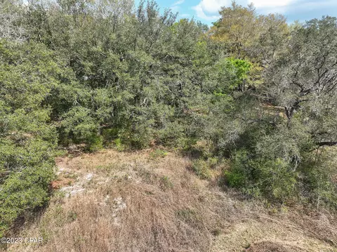 5203 Pine Ridge Dr, Chipley, FL 32428 photo 14
