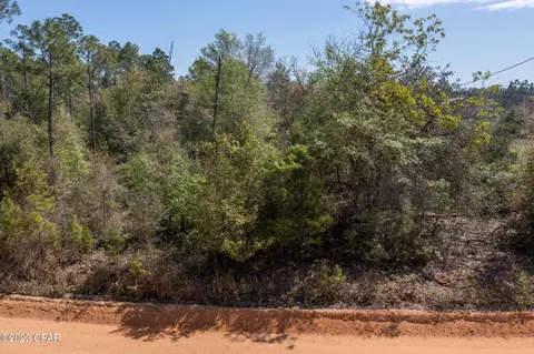 4977 Porter Pond Rd, Chipley, FL 32428 photo 4