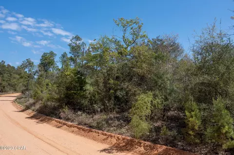 4977 Porter Pond Rd, Chipley, FL 32428 photo 3