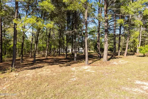 2420 Dumajack Rd, Chipley, FL 32428 photo 26