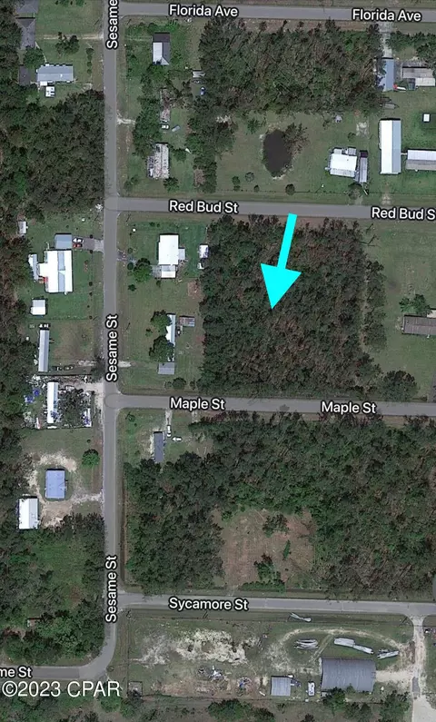 00 Redbud And Maple Ave, Wewahitchka, FL 32465