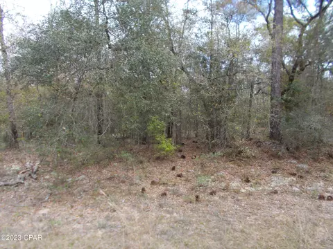 lot5 Pinehurst Ave, Chipley, FL 32428 photo 2