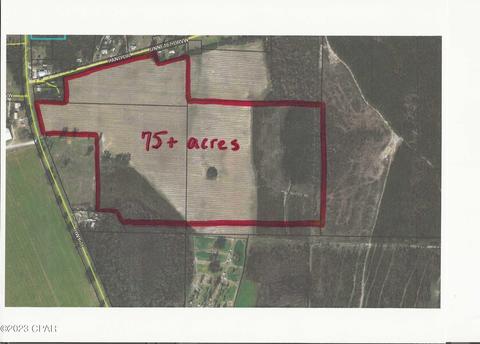 Tbd Highway 71, Marianna, FL 32448