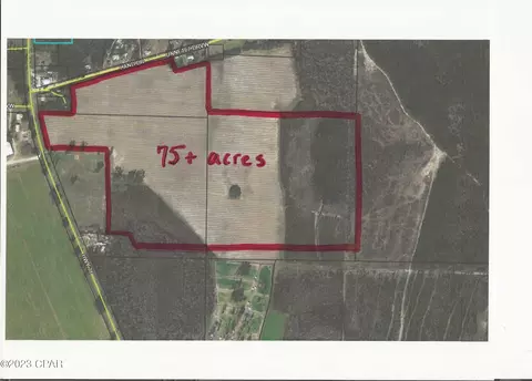 tbd Highway 71, Marianna, FL 32448