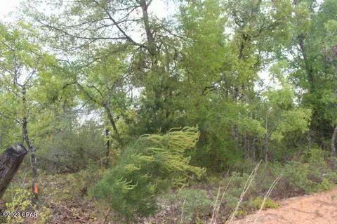 0 Peppervine Pl, Chipley, FL 32428 photo 8