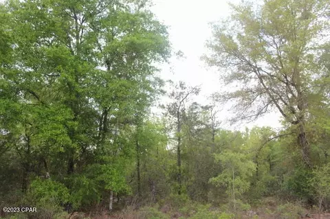 0 Peppervine Pl, Chipley, FL 32428 photo 10