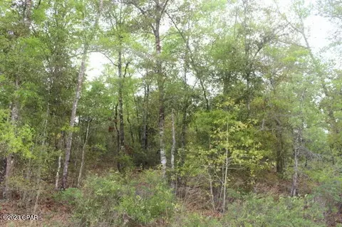 0 Peppervine Pl, Chipley, FL 32428 photo 13