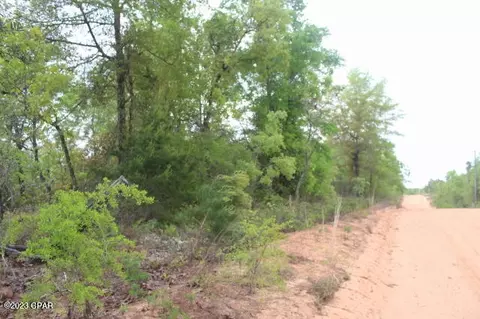 0 Peppervine Pl, Chipley, FL 32428 photo 7