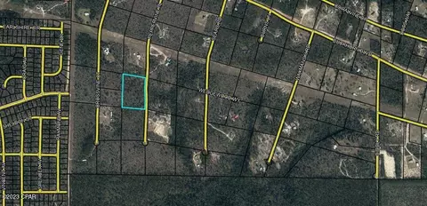 0 Peppervine Pl, Chipley, FL 32428 photo 3