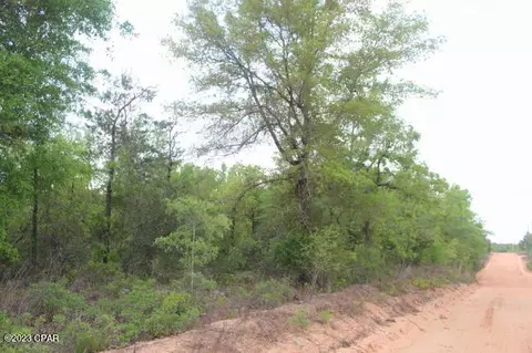 0 Peppervine Pl, Chipley, FL 32428 photo 11
