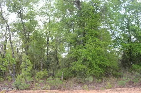 0 Peppervine Pl, Chipley, FL 32428 photo 9