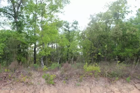 0 Peppervine Pl, Chipley, FL 32428