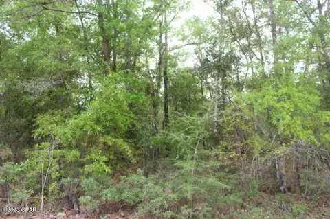 0 Peppervine Pl, Chipley, FL 32428 photo 12