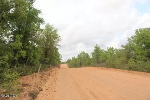 0 Peppervine Pl, Chipley, FL 32428 photo 6