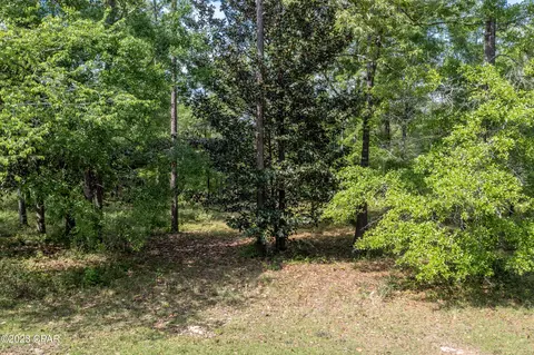 NNN Pine Bluff Drive #9, Chipley, FL 32428 photo 5