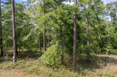 NNN Pine Bluff Drive #9, Chipley, FL 32428 photo 6