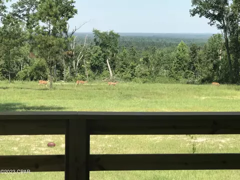 2170 Orange Hill Rd, Chipley, FL 32428 photo 50