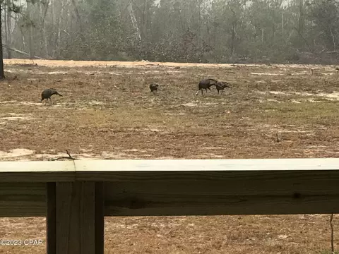 2170 Orange Hill Rd, Chipley, FL 32428 photo 53